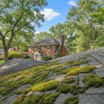Roof Cleaning for Flat Roofs in Hilliard